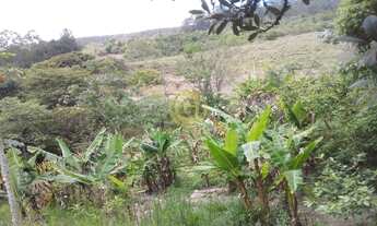 Imagem 2: Chácara com casa de 4 dormitórios em Santa Branca/SP