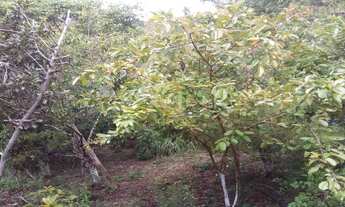 Imagem 6: Chácara com casa de 4 dormitórios em Santa Branca/SP