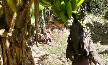 Imagem 2: CHACARA RESIDENCIAL em São José dos Campos - SP, Parque Interlagos