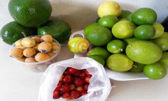 Imagem 6: CHACARA RESIDENCIAL em São José dos Campos - SP, Parque Interlagos