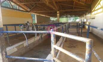 Imagem 6: FAZENDA RURAL em PARAIBUNA - SP, Ribeirão Branco