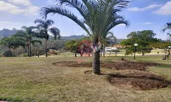 Imagem 7: Terreno a Venda no Residencial Altos da Quinta - Torrão de Ouro II