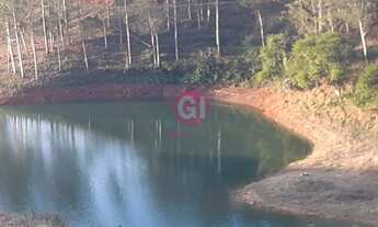 Imagem 5: Fazenda/Sítio/Chácara para venda tem 21 Alqueires, nascente, mata nativa, Rio do Peixe, Sã