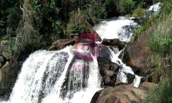 Imagem 3: Fazenda/Sítio/Chácara para venda tem 21 Alqueires, nascente, mata nativa, Rio do Peixe, Sã