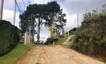 Imagem 5: Casa de campo em campos do Jordão a 5km de Capivarí