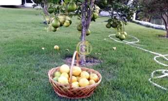 Imagem 7: CASA EM CONDOMINIO ALPES DE GUARAREMA - SP Terreno 1200m, área construída 362m, móveis pla