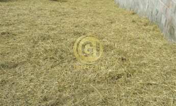 Imagem 7: Vendo Salão de Festa no Cidade Salvador em Jacareí - SP