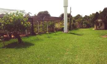 Imagem 5: CHACARA RESIDENCIAL em Nova Aliança - SP, Nova Aliança