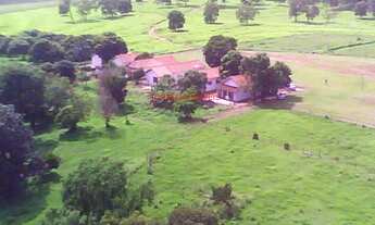 Imagem 3: FAZENDA RURAL em PEREIRA BARRETO - SP, PEREIRA BARRETO