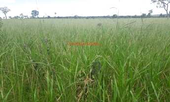 Imagem 6: FAZENDA RURAL em PEREIRA BARRETO - SP, PEREIRA BARRETO