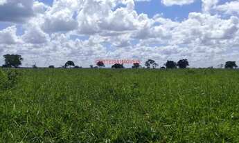 Imagem 7: FAZENDA RURAL em PEREIRA BARRETO - SP, PEREIRA BARRETO
