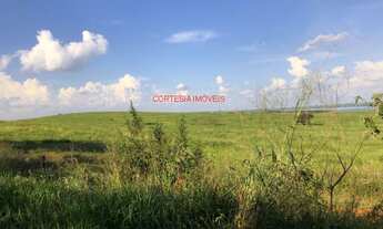 Imagem 3: FAZENDA RURAL em SUD MENNUCCI - SP, SUD MENNUCCI