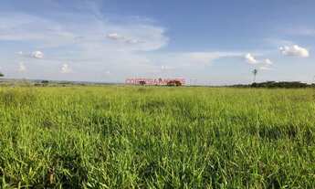 Imagem 4: FAZENDA RURAL em SUD MENNUCCI - SP, SUD MENNUCCI