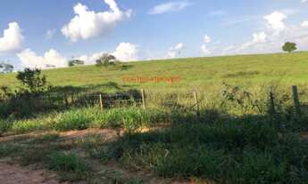 Imagem 5: FAZENDA RURAL em SUD MENNUCCI - SP, SUD MENNUCCI