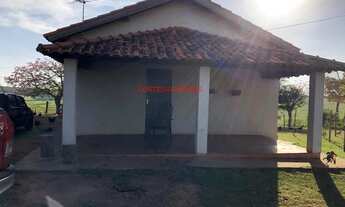 Imagem: FAZENDA RURAL em SUD MENNUCCI - SP, SUD