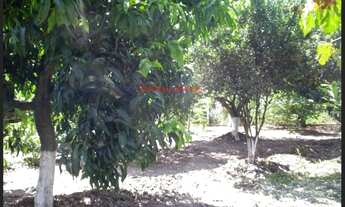 Imagem 4: CHACARA RESIDENCIAL em SÃO JOSÉ DO RIO PRETO - SP, Residencial Unitra