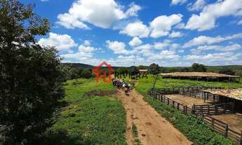 Imagem 6: FAZENDA RURAL em PIMENTEIRAS - PI, Pimenteiras