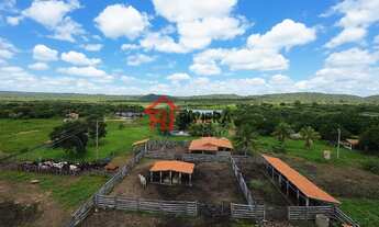 Imagem 4: FAZENDA RURAL em PIMENTEIRAS - PI, Pimenteiras