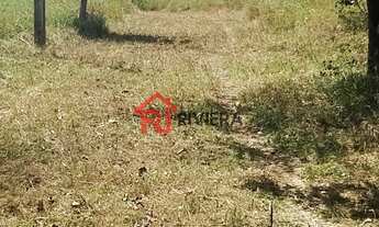 Imagem 5: Fazenda de 28 hectares à venda em Itapecuru-Mirim, MA: oportunidade única no bairro Itapec