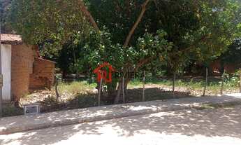 Imagem 4: TERRENO RESIDENCIAL em SÃO JOSÉ DE RIBAMAR - MA, SÃO JOSÉ DE RIBAMAR