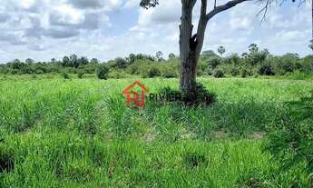 Imagem: Fazenda à venda em Magalhães de Almeida-MA
