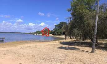 Imagem 2: Fazenda à venda em Magalhães de Almeida-MA com 219 hectares: 3 quartos, 1 sala, 1 banheiro