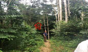 Imagem 4: FAZENDA RURAL em Autazes - AM, CENTRO