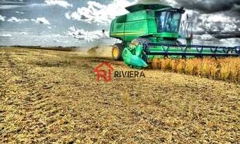 Imagem: FAZENDA RURAL em Parnaíba - PI, Médio