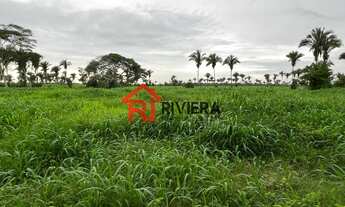 Imagem 3: Fazenda à venda em Miranda do Norte-MA, com infraestrutura completa e área extensa