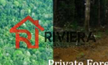 Imagem 7: TERRENO RURAL em AUTAZES - AM, Centro