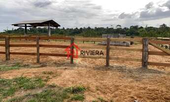 Imagem 7: Fazenda à venda em Moju-PA: 6,8 milhões de m² de área no bairro X - Imperdível oportunidad