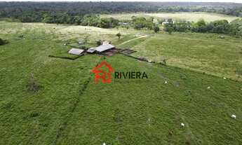 Imagem 5: Fazenda à venda em Moju-PA: 6,8 milhões de m² de área no bairro X - Imperdível oportunidad