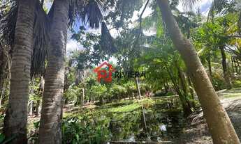 Imagem 5: Terreno à venda em Paço do Lumiar-MA, bairro Mojó, com 28.425m² de área! A oportunidade qu