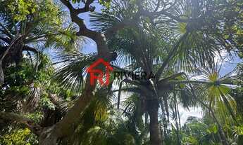 Imagem 7: Terreno à venda em Paço do Lumiar-MA, bairro Mojó, com 28.425m² de área! A oportunidade qu