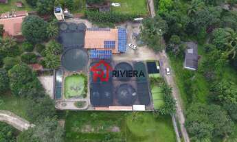 Imagem: Oportunidade única de negócio comercial