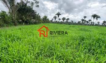 Imagem 2: Fazenda à venda em Miranda do Norte-MA, com infraestrutura completa e área extensa