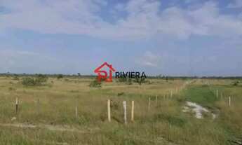 Imagem: FAZENDA RURAL em Boa Vista do Gurupi - PA