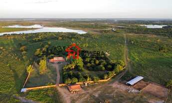 Imagem 4: FAZENDA RURAL em VITÓRIA DO MEARIM - MA, Centro