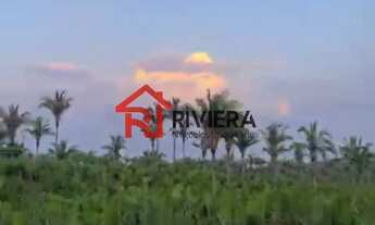 Imagem 7: FAZENDA RURAL em ITAPECURU MIRIM - MA, Centro