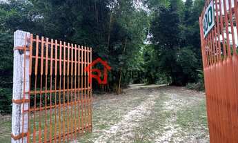 Imagem 3: TERRENO RURAL em Paço do Lumiar - MA, Maioba do Mocajituba