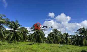 Imagem 4: SITIO RURAL em Paço do Lumiar - MA, Iguaíba