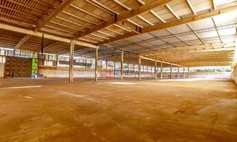 Imagem 6: GALPAO INDUSTRIAL em SÃO LUÍS - MA, DISTRITO INDUSTRIAL