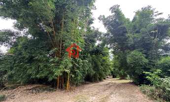 Imagem 4: TERRENO RURAL em Paço do Lumiar - MA, Maioba do Mocajituba