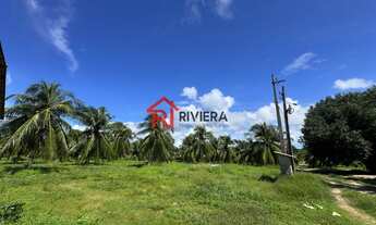 Imagem 3: SITIO RURAL em Paço do Lumiar - MA, Iguaíba