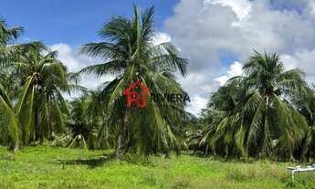 Imagem 2: SITIO RURAL em Paço do Lumiar - MA, Iguaíba