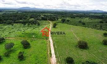 Imagem 6: FAZENDA RURAL em Cassilândia - MS, Centro