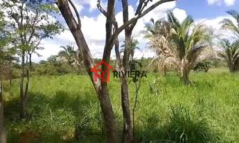 Imagem 2: FAZENDA RURAL em SÃO FRANCISCO DO MARANHÃO - MA, Centro