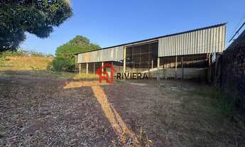 Imagem 4: GALPAO COMERCIAL em SÃO LUÍS - MA, TIRIRICAL