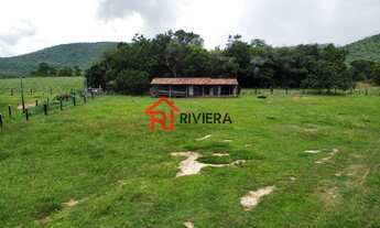 Imagem 2: FAZENDA RURAL em Cassilândia - MS, Centro