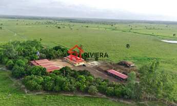 Imagem: FAZENDA RURAL em Centro do Guilherme - MA